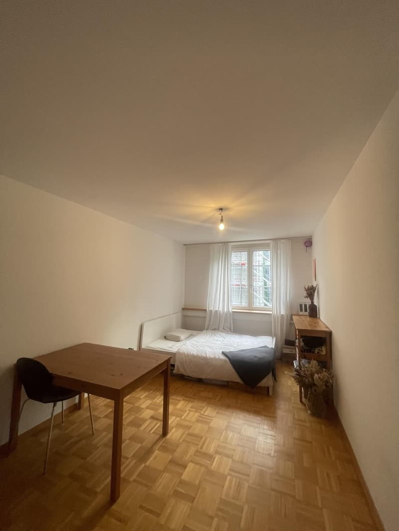 Befristetes WG-Zimmer in geräumiger 4.5-Wohnung (1)