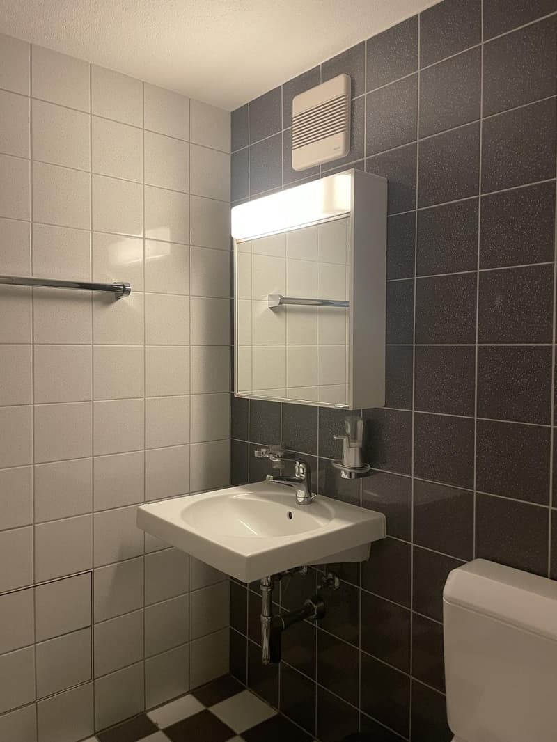 Befristetes WG-Zimmer in geräumiger 4.5-Wohnung (4)
