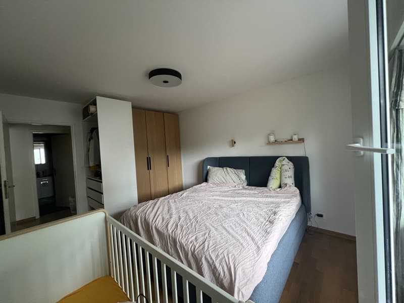 3 ½ rooms apartment, 8610 Uster (4)
