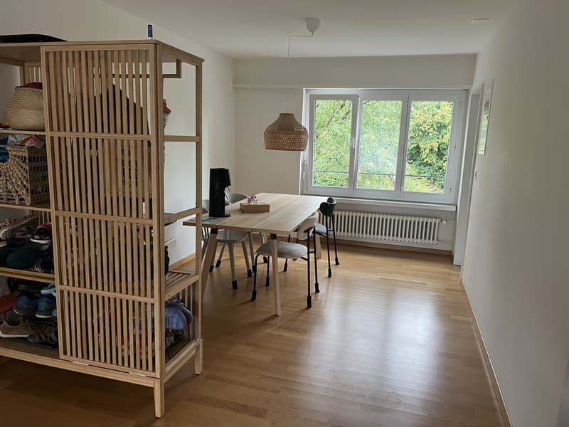3 ½ rooms apartment, 8610 Uster (2)