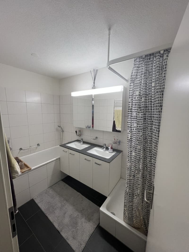 3 ½ rooms apartment, 8610 Uster (3)