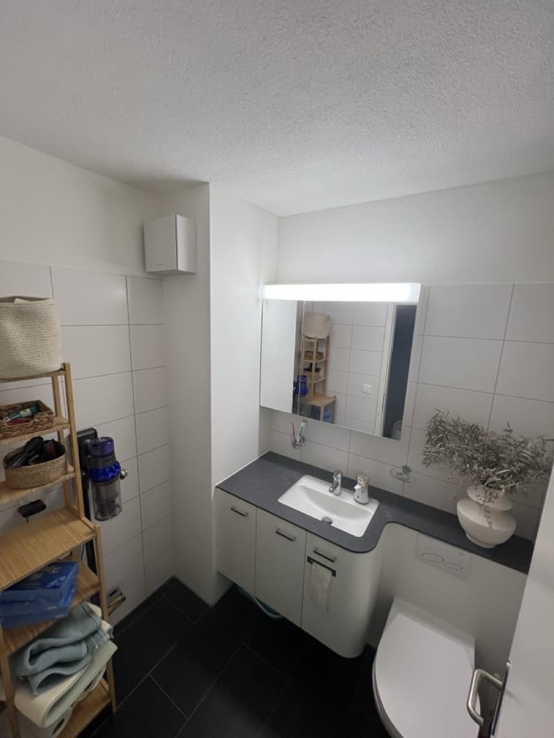 3 ½ rooms apartment, 8610 Uster (5)