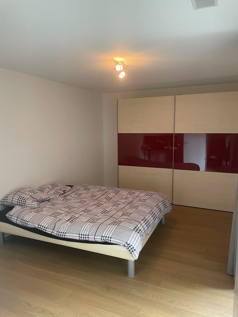 Nachmieter für helle 2 1/2 Zimmerwohnung (5)