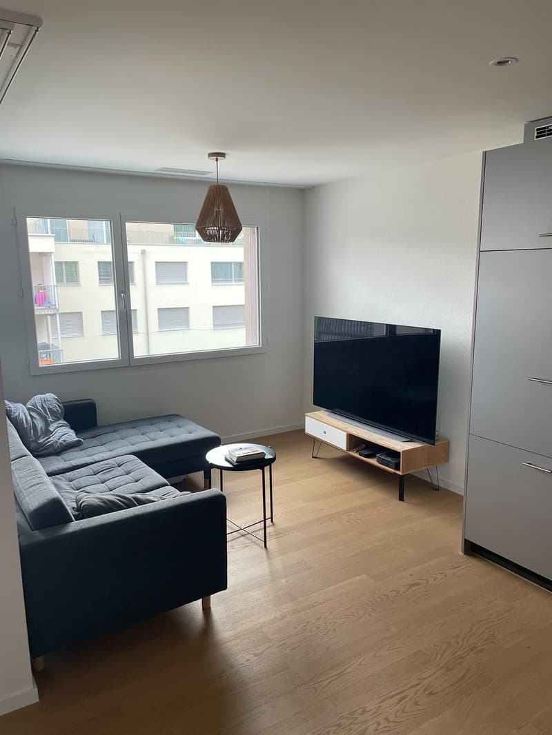 Nachmieter für helle 2 1/2 Zimmerwohnung (2)