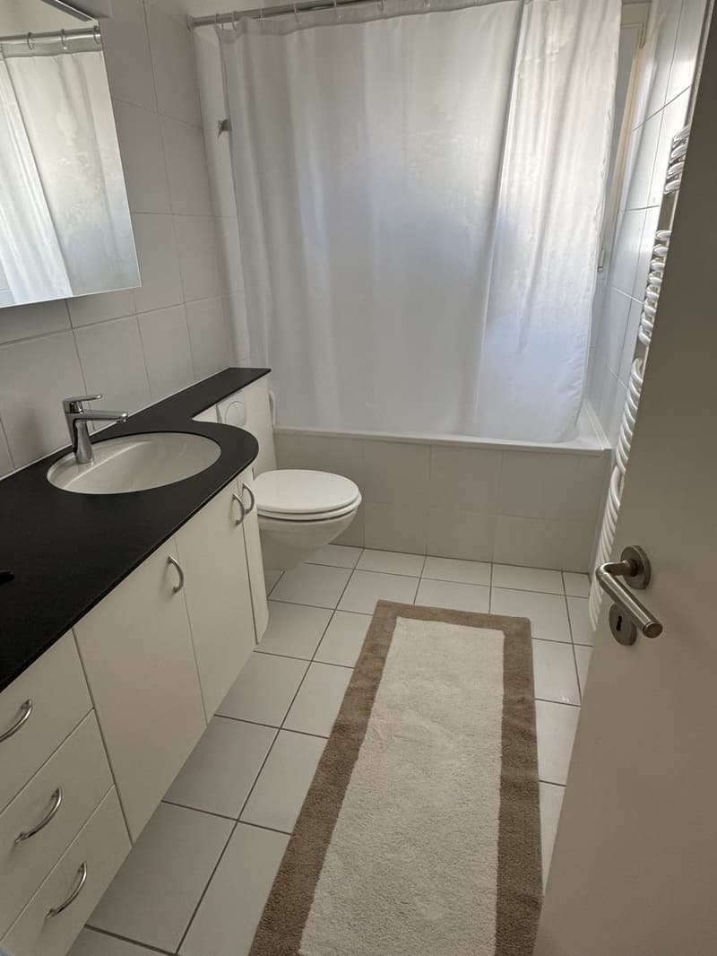4 Zimmer-Wohnung, 8038 Zürich (3)