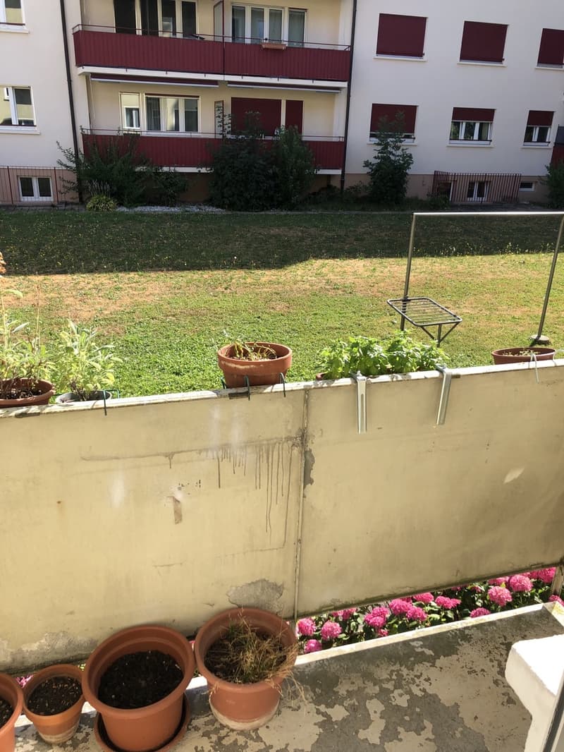 Schöne 3 Zimmerwohnung an guter Lage (zwischen Europaplatz & Weyerli) (7)
