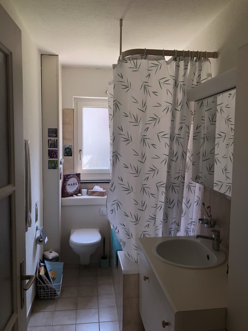 Schöne 3 Zimmerwohnung an guter Lage (zwischen Europaplatz & Weyerli) (6)