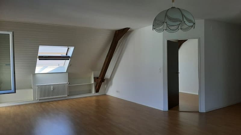 3-Zimmer Wohnung in der Gundeldingerstrasse neben Margarethenpark (2)