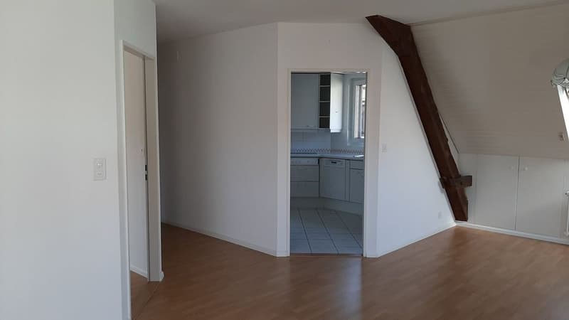 3-Zimmer Wohnung in der Gundeldingerstrasse neben Margarethenpark (7)