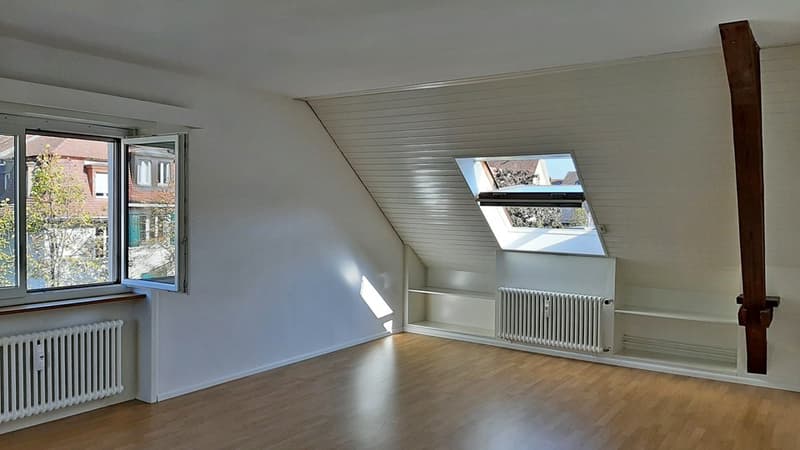 3-Zimmer Wohnung in der Gundeldingerstrasse neben Margarethenpark (1)
