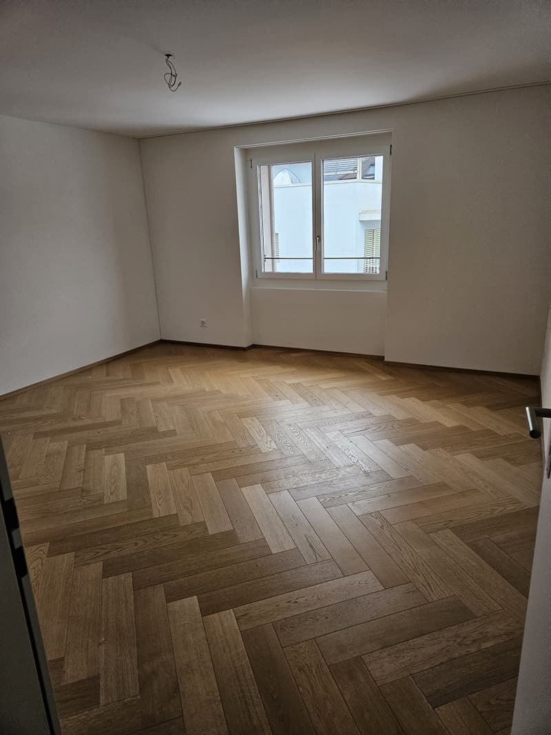 Großzügige, moderne Wohnung 4.5 Zimmerwohnung (1)