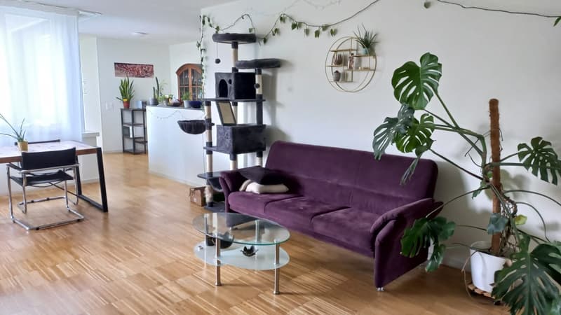 WG Zimmer in 5.5-Zimmer-Wohnung (4)