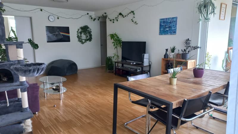 WG Zimmer in 5.5-Zimmer-Wohnung (3)