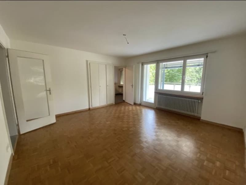 1 ½ Zimmer-Wohnung, 8953 Dietikon (2)