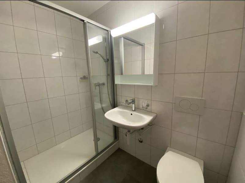 1 ½ Zimmer-Wohnung, 8953 Dietikon (5)