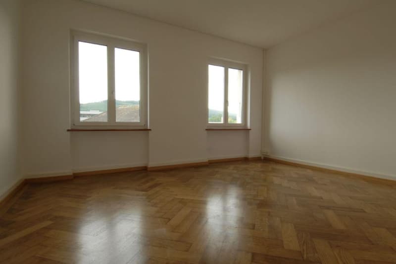 Moderne Altbauwohnung in Olten, nahe Zentrum (8)
