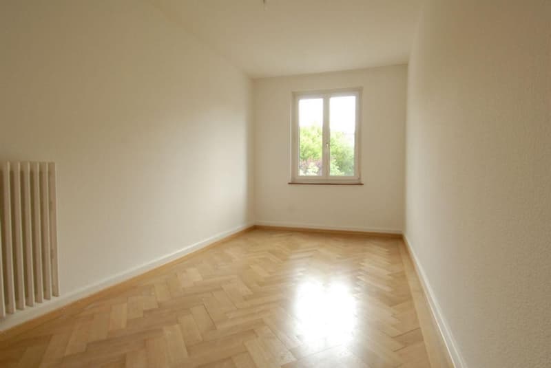 Moderne Altbauwohnung in Olten, nahe Zentrum (5)