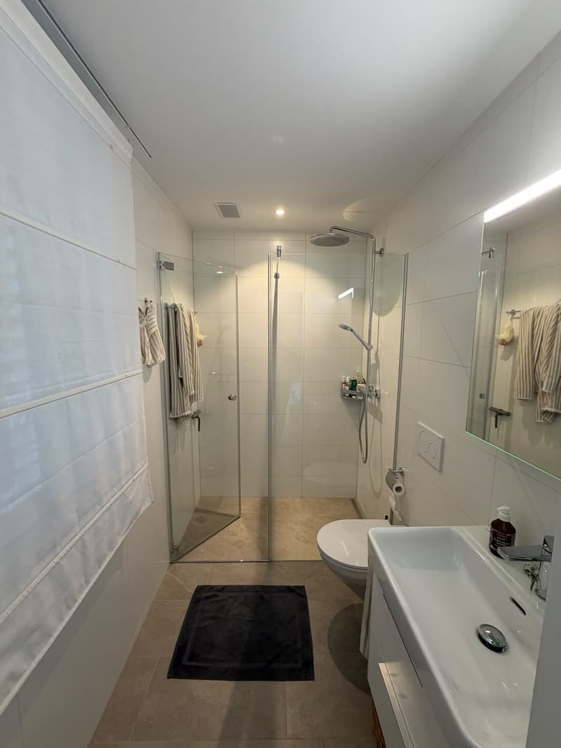 3.5-room apartment near Goldbrunnenplatz (4)