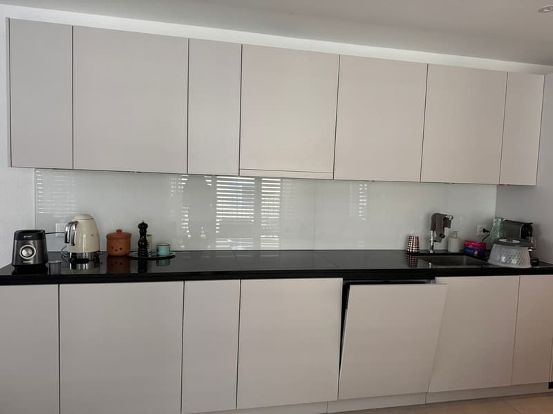 3.5-room apartment near Goldbrunnenplatz (2)
