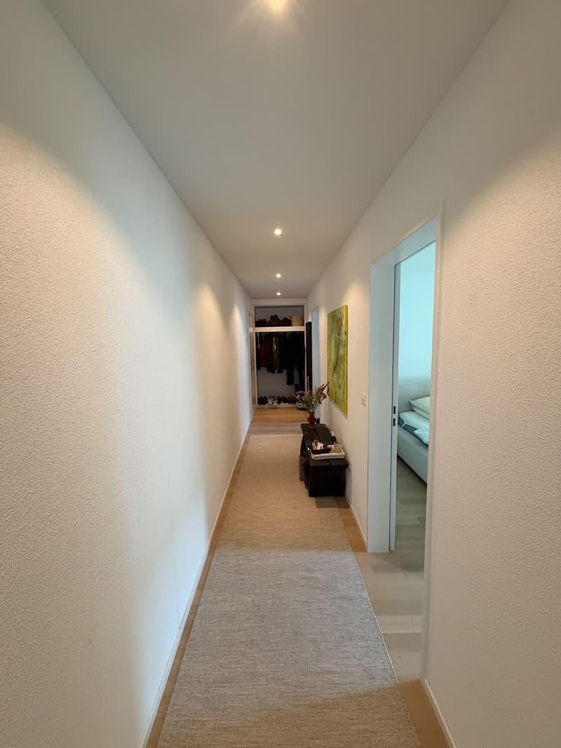 3.5-room apartment near Goldbrunnenplatz (3)