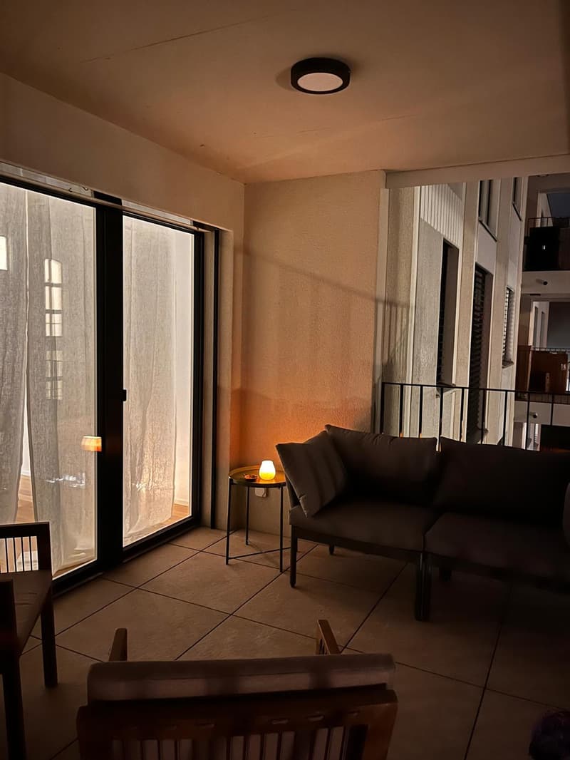 3.5-room apartment near Goldbrunnenplatz (6)