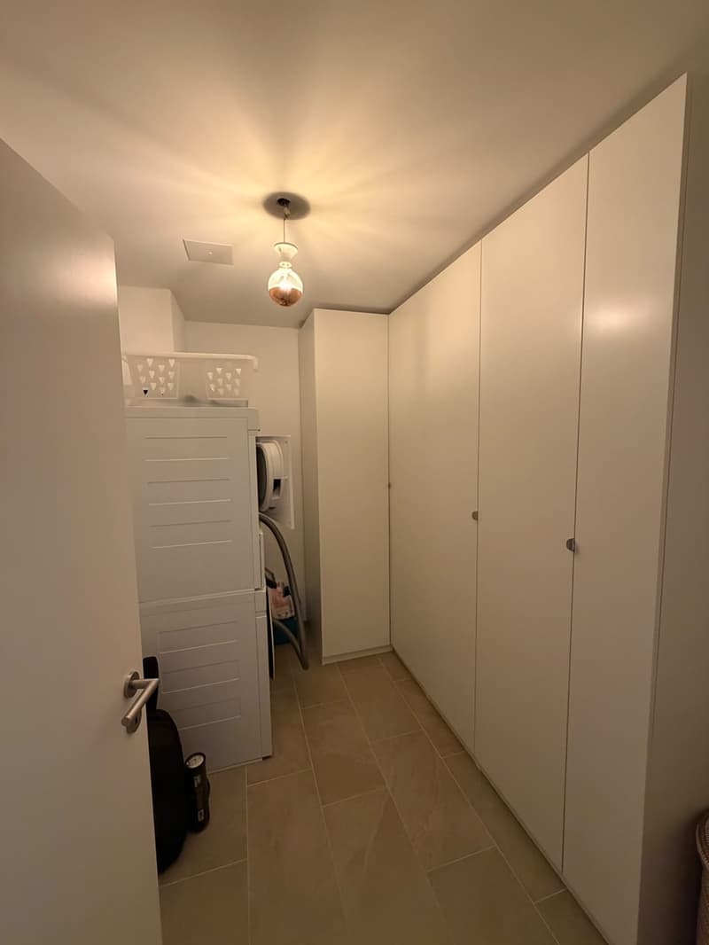3.5-room apartment near Goldbrunnenplatz (7)
