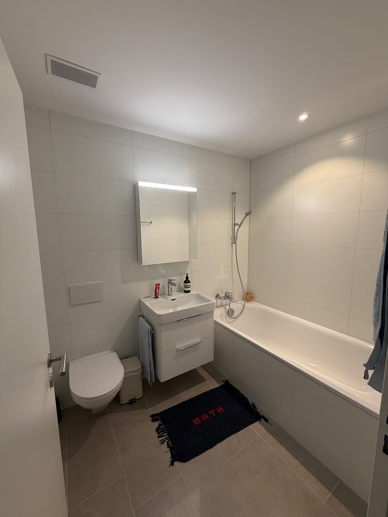 3.5-room apartment near Goldbrunnenplatz (5)