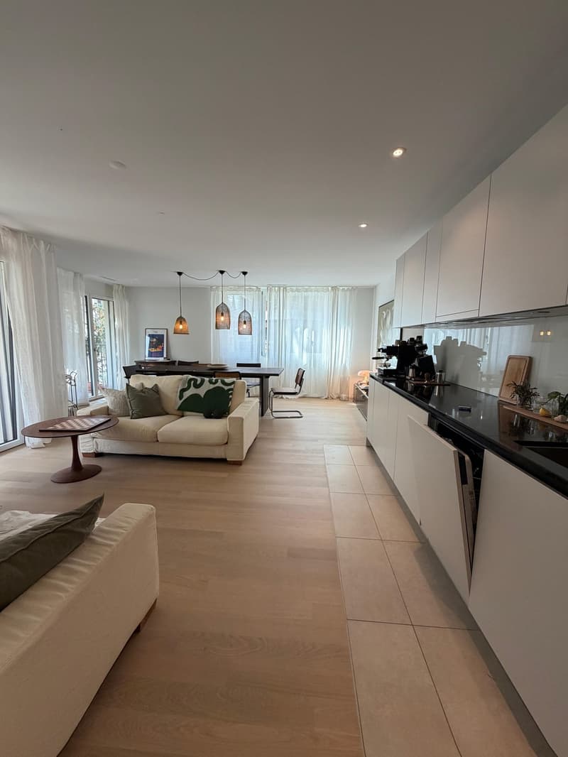 3.5-room apartment near Goldbrunnenplatz (1)