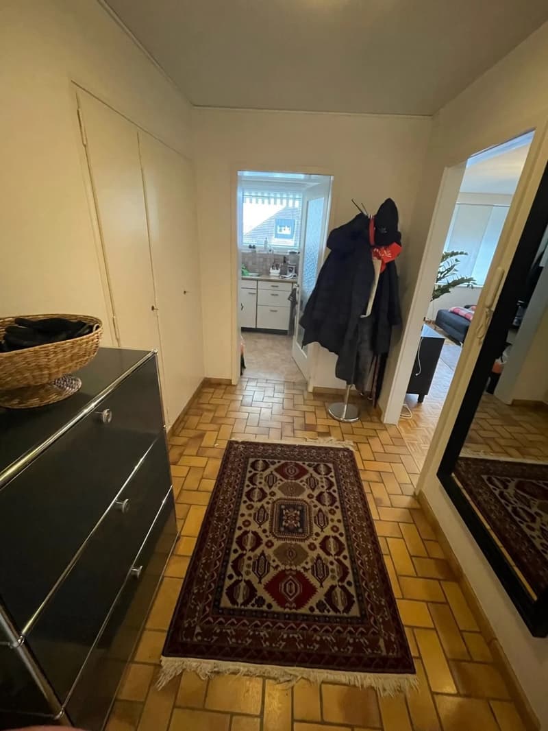 Helle 2-Zimmer-Wohnung mit Balkon und schöner Aussicht in Zürich 8004 (3)