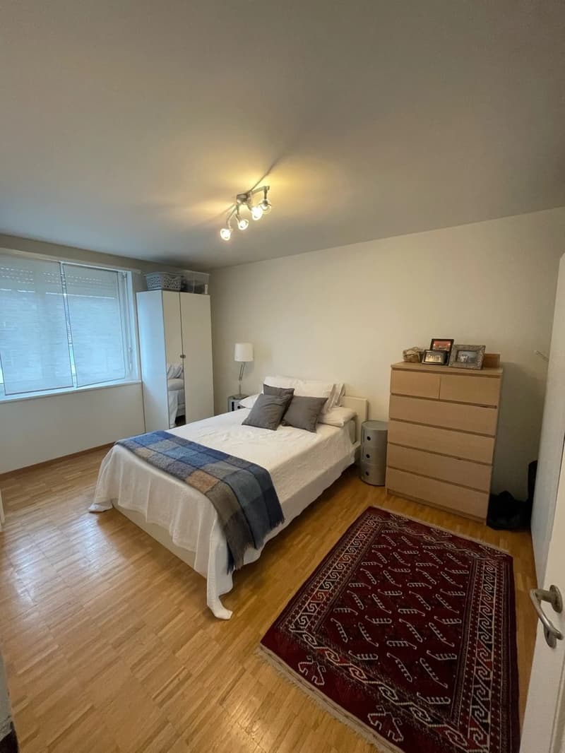 Helle 2-Zimmer-Wohnung mit Balkon und schöner Aussicht in Zürich 8004 (4)