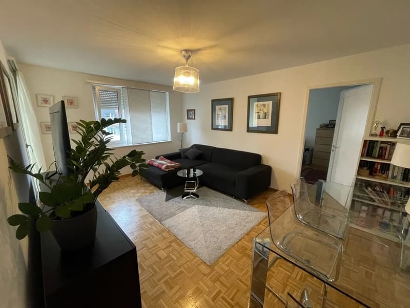 Helle 2-Zimmer-Wohnung mit Balkon und schöner Aussicht in Zürich 8004 (2)