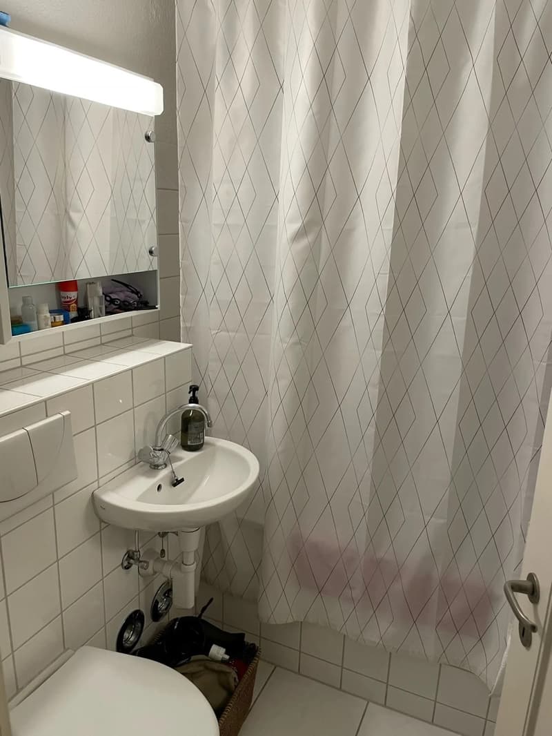 Helle 2-Zimmer-Wohnung mit Balkon und schöner Aussicht in Zürich 8004 (7)