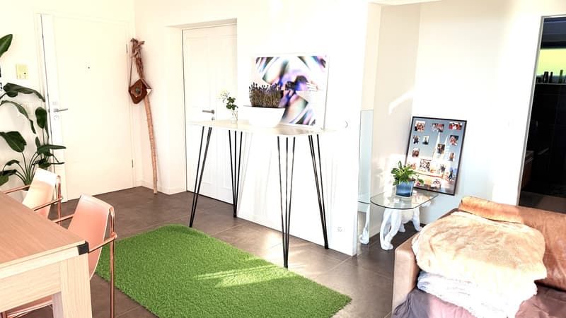 Appartement exceptionnel Montreux (3)