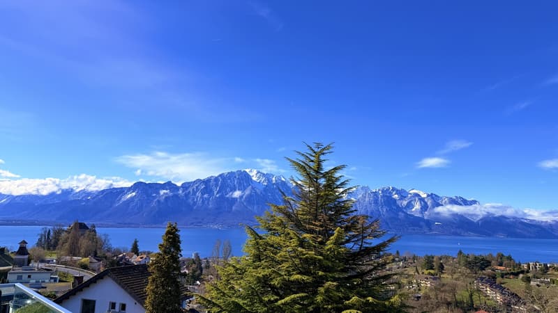 Appartement exceptionnel Montreux (9)