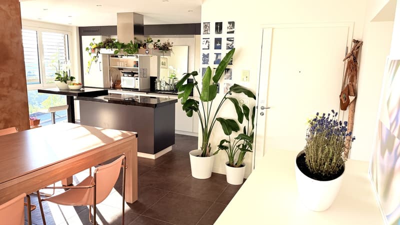 Appartement exceptionnel Montreux (4)