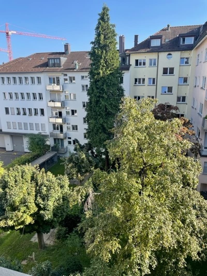Gemütliches möbliertes Zimmer im Wiedikon (3)