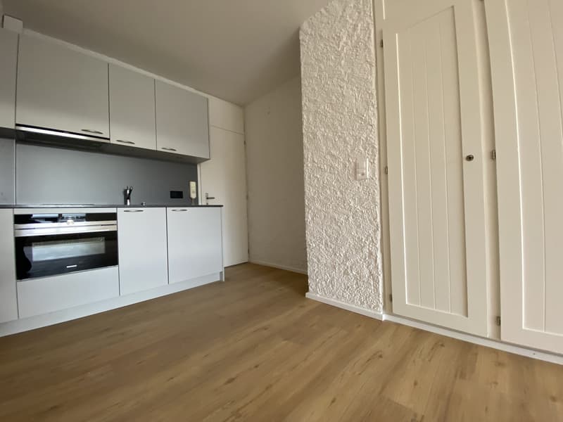 1 Zimmer Wohnung Lorraine (2)