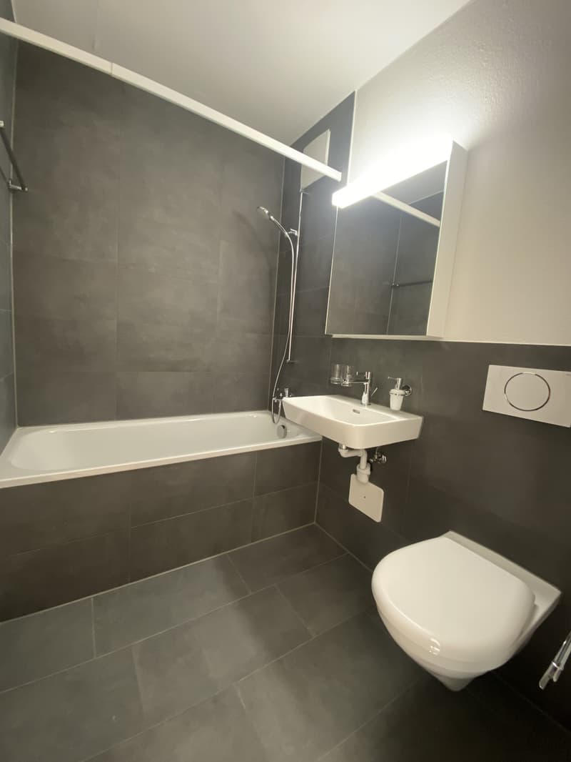 1 Zimmer Wohnung Lorraine (1)