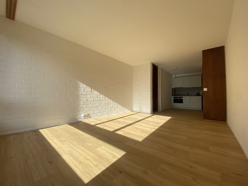 1 Zimmer Wohnung Lorraine (3)