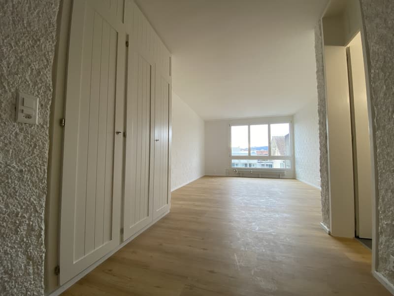 1 Zimmer Wohnung Lorraine (6)