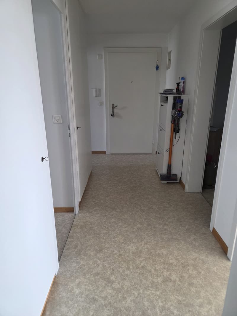 Schönen 3 Zimmer Wohnung in döttingen (7)