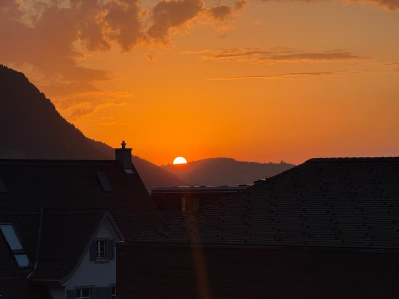 Wunderdchöne 3.5 Attikawohnung mit Bergpanorama in Goldau (10)