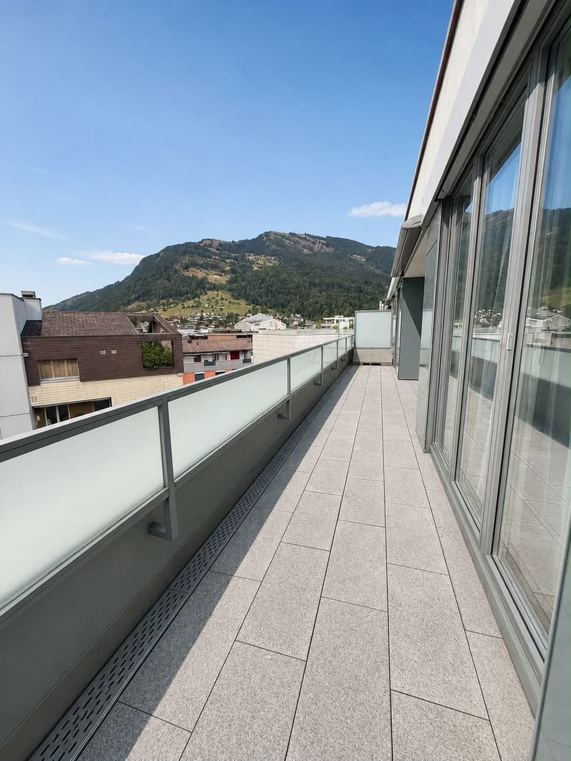 Wunderdchöne 3.5 Attikawohnung mit Bergpanorama in Goldau (9)