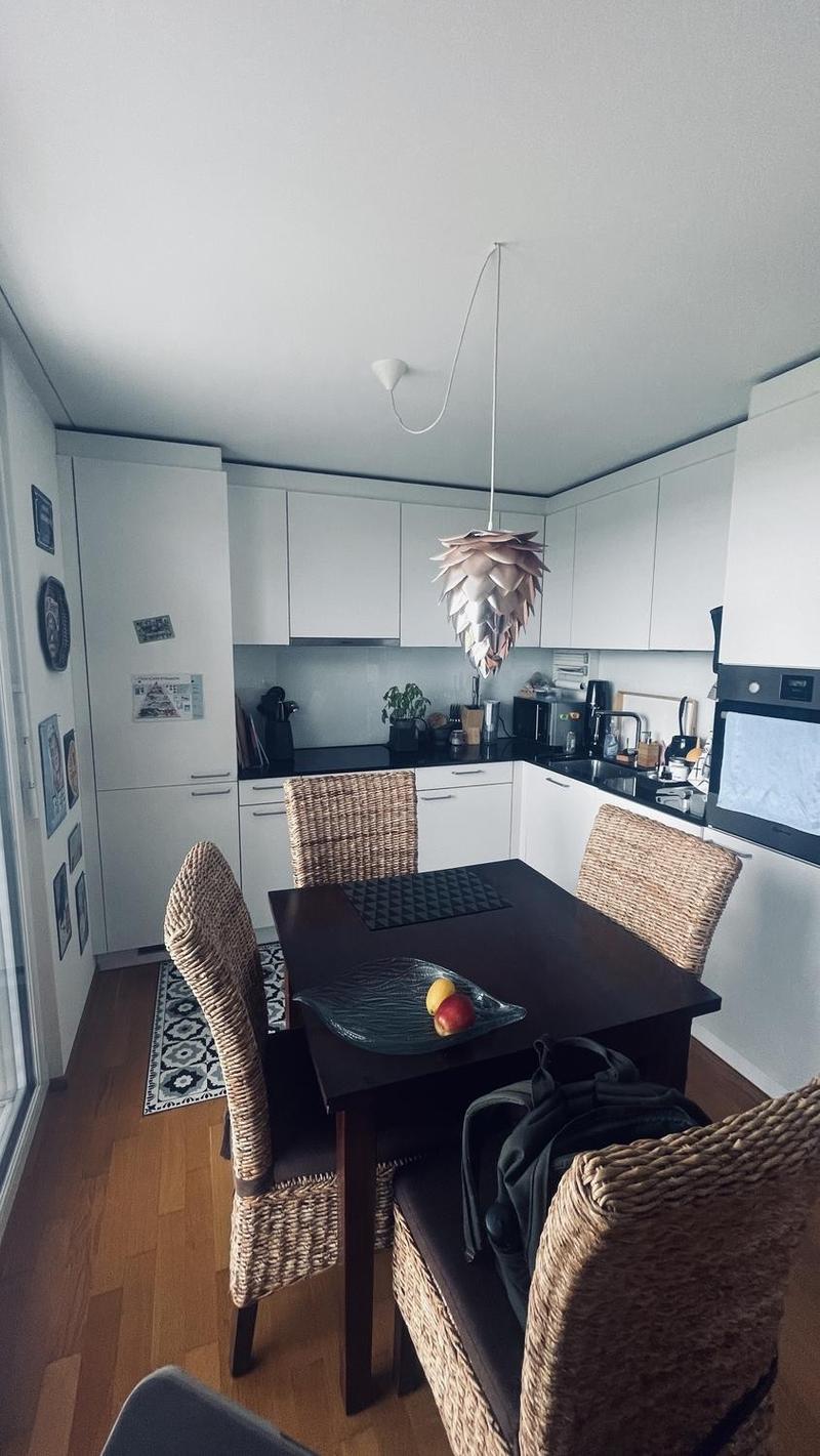 Helle 3.5-Zimmer-Wohnung mit grossem Balkon und eigenem Waschturm in Obfelden (3)