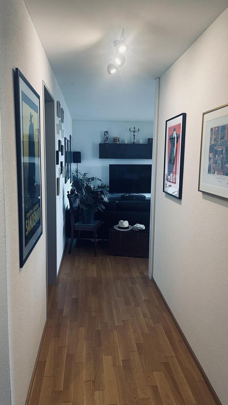Helle 3.5-Zimmer-Wohnung mit grossem Balkon und eigenem Waschturm in Obfelden (8)