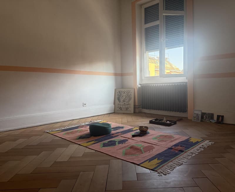 Weekday Room Available | MondayFriday Only | 20 m² with Private Balcony | Zurich District 3 | CHF 900/month (Utilities Included) (3)