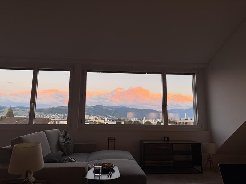 Mitbewohner gesucht hochwertiges Shared Living im grosszügigen Loft in Steinhausen (6)