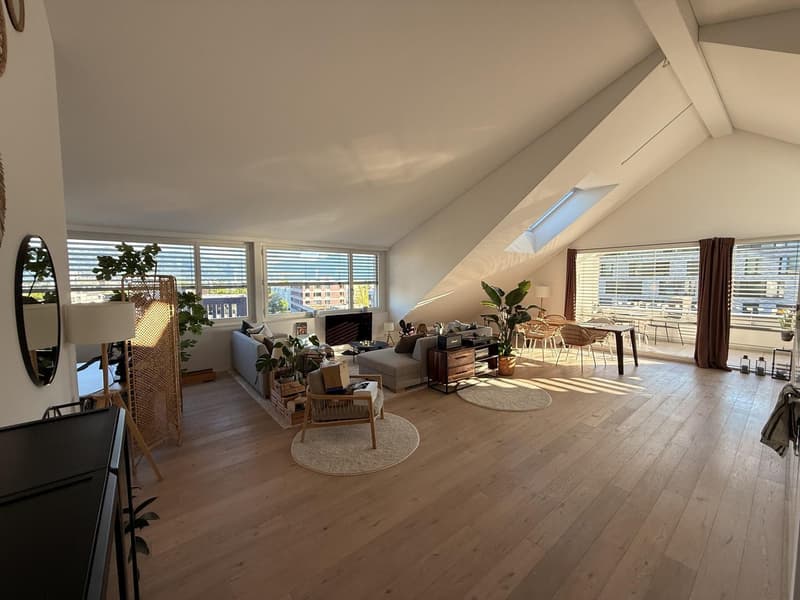 Mitbewohner gesucht hochwertiges Shared Living im grosszügigen Loft in Steinhausen (1)