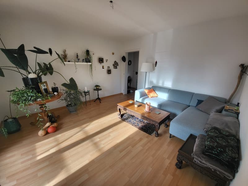 2 ½ Zimmer-Wohnung, 3004 Bern (4)