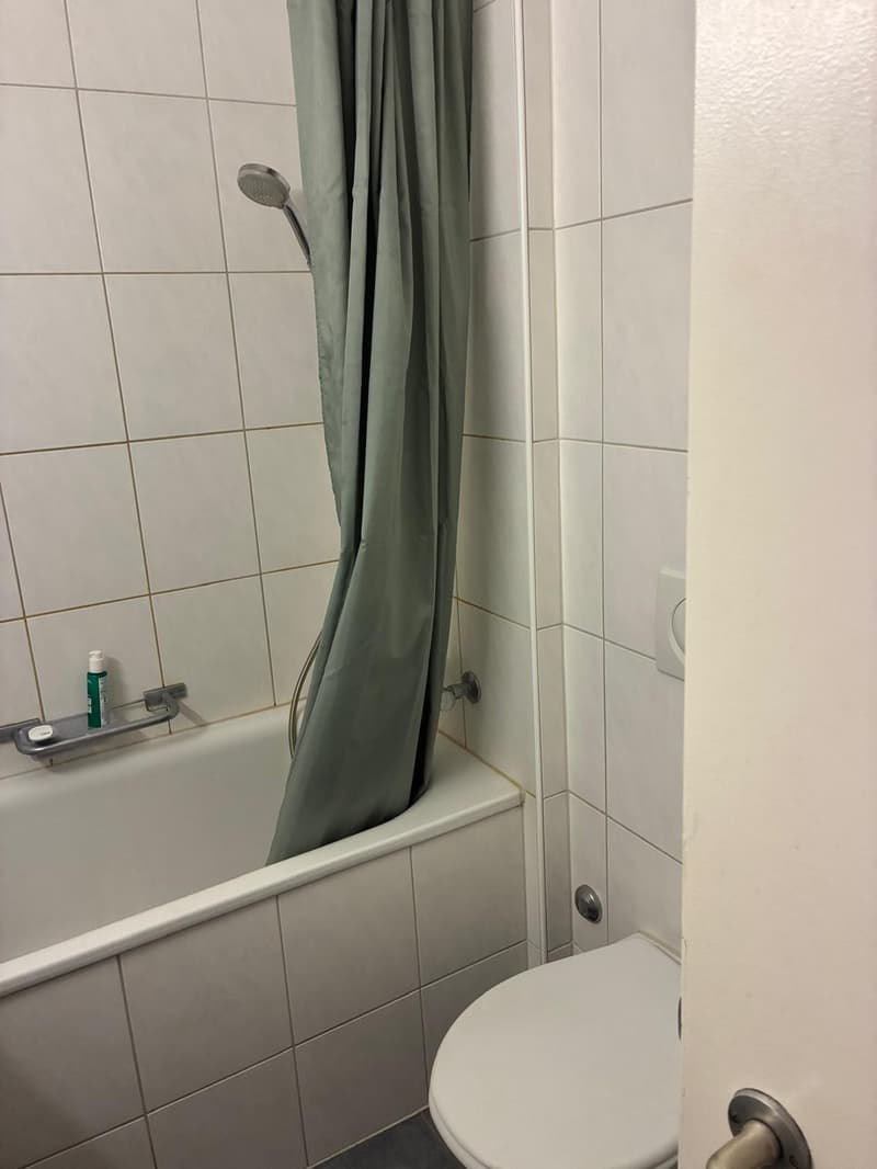 1.5-room apartment (40 sqm) next to Kreuzplatz - 10 min walk to Stadelhofen (8)